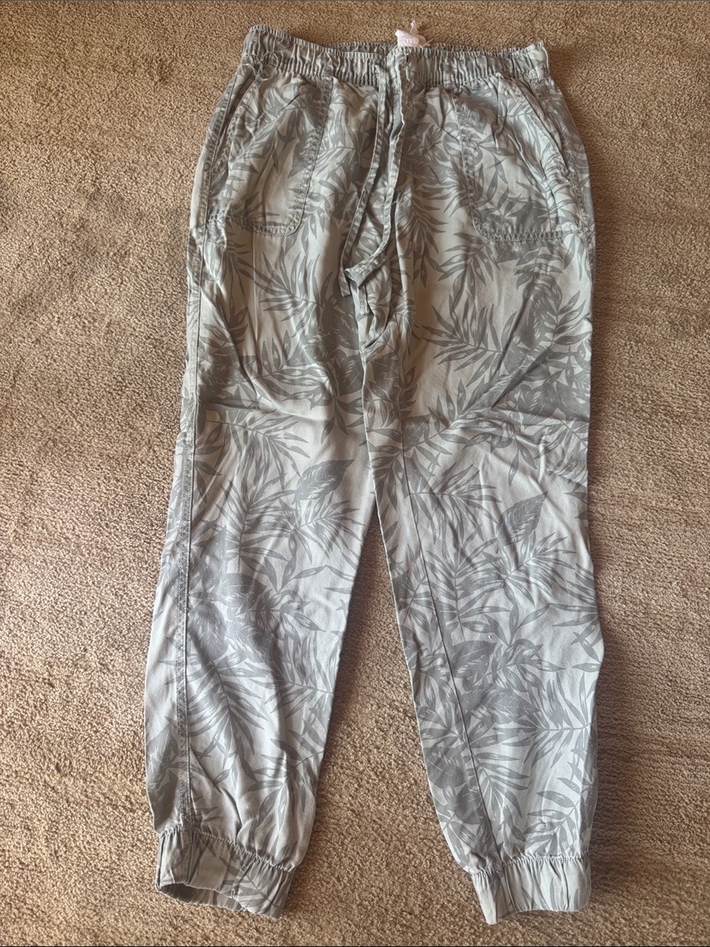 C & C California 100% Lyocell Light Sage Joggers